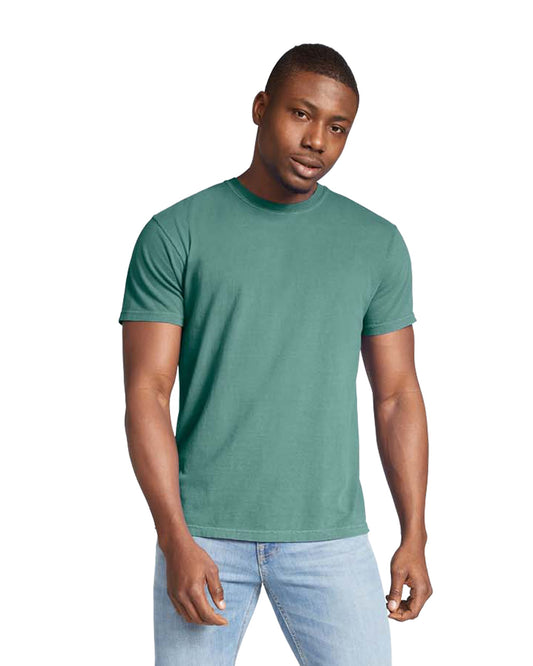 Small Light Green Comfort Colors 1717 