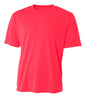 Large Coral A4 N3142 